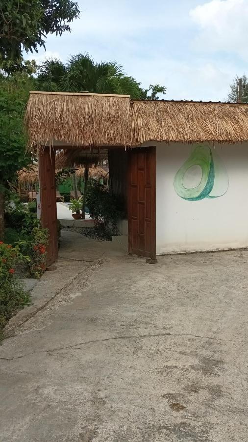 Hotel Avocado Koh Samui Bophut Zewnętrze zdjęcie